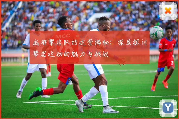 成都攀岩队的运营揭秘：深度探讨攀岩运动的魅力与挑战